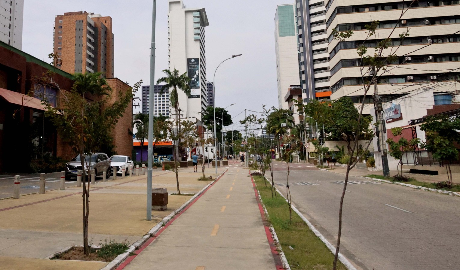 avenida com mudas plantadas